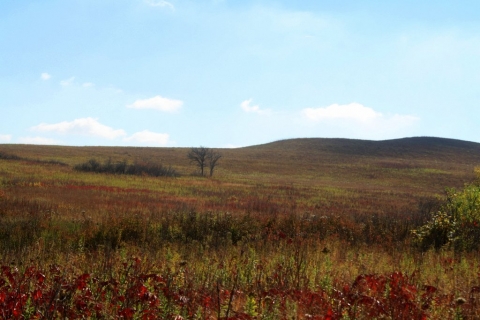 Prairie in Autumn