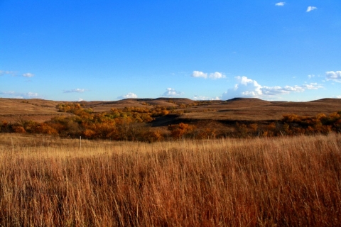 Prairie in Autumn